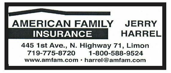 Am Fam Insurance